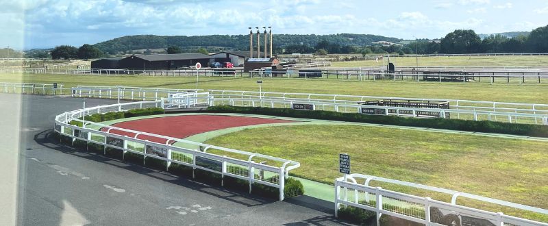Fallstudie om Taunton Horserace